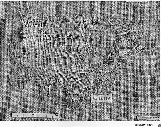 Textile Fragment