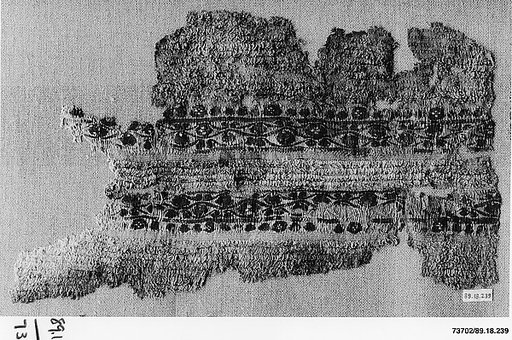 Textile Fragment