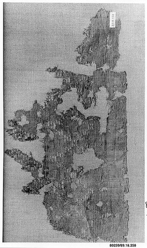 Textile Fragment
