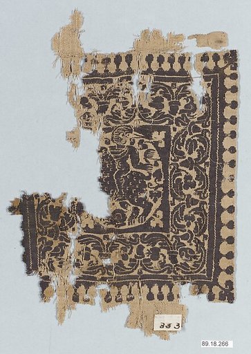 Textile Fragment