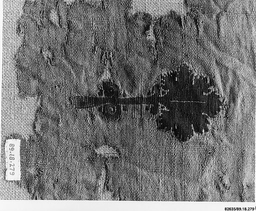 Textile Fragment
