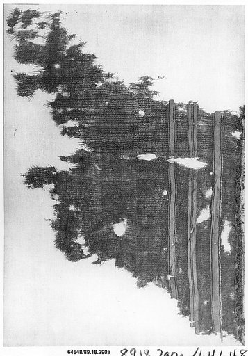Textile Fragment