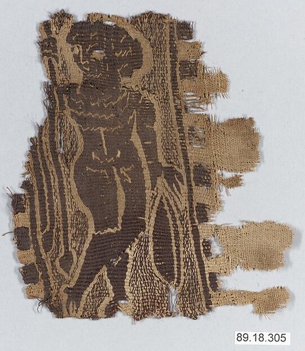 Textile Fragment