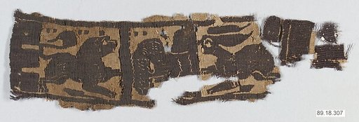 Textile Fragment