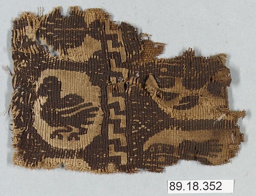 Textile Fragment
