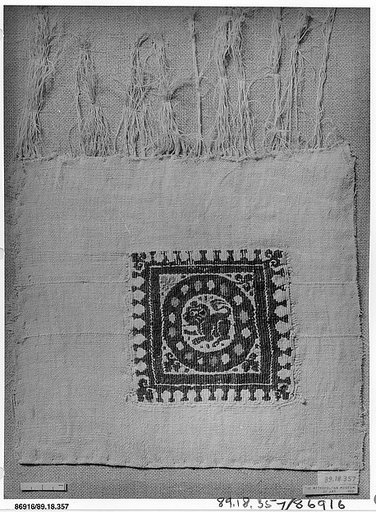 Textile Fragment