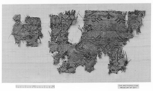 Textile Fragment