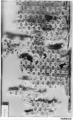 Textile Fragment