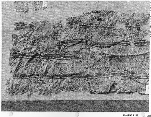 Textile Fragment