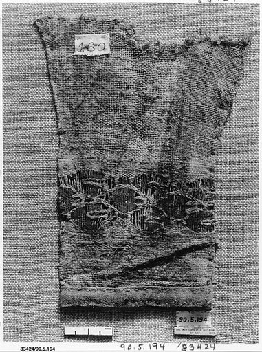 Fragment of a Sleeve