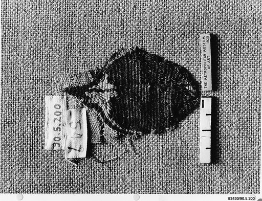 Textile Fragment