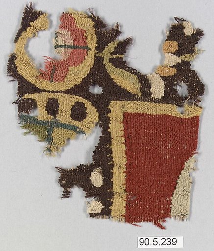 Textile Fragment