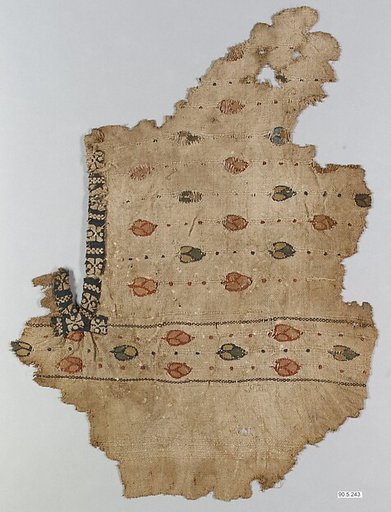 Textile Fragment