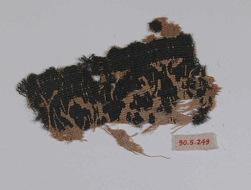 Textile Fragment