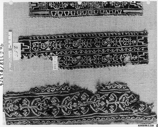 Fragment of a Sleeve