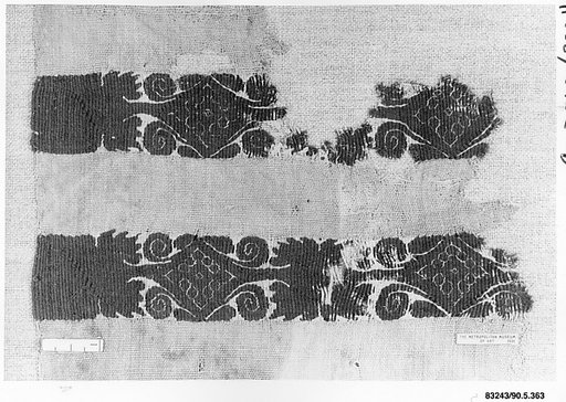 Fragment of a Sleeve