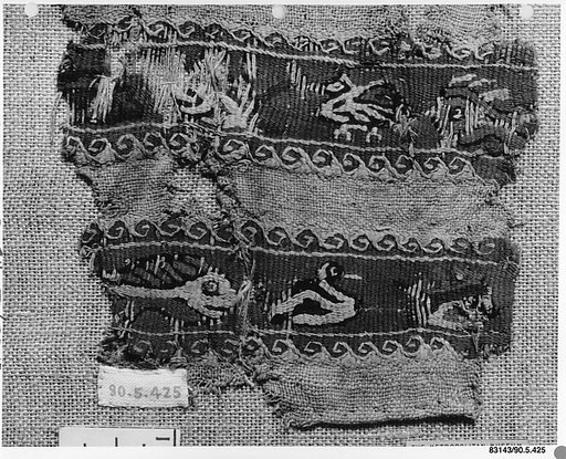 Fragment of a Sleeve