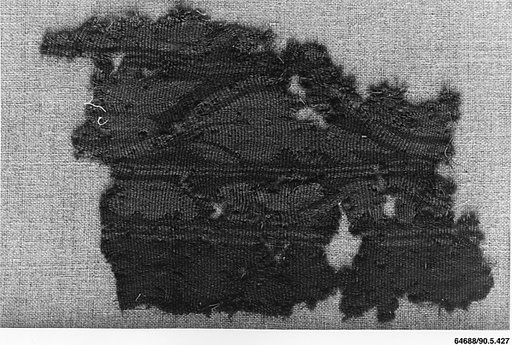 Fragment of a Sleeve