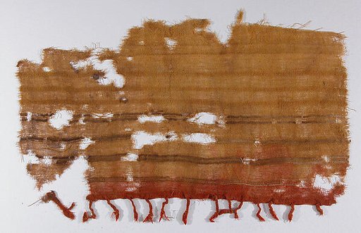 Textile Fragment