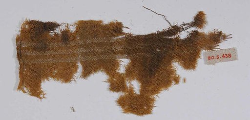 Textile Fragment
