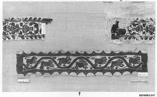 Fragment of a Sleeve