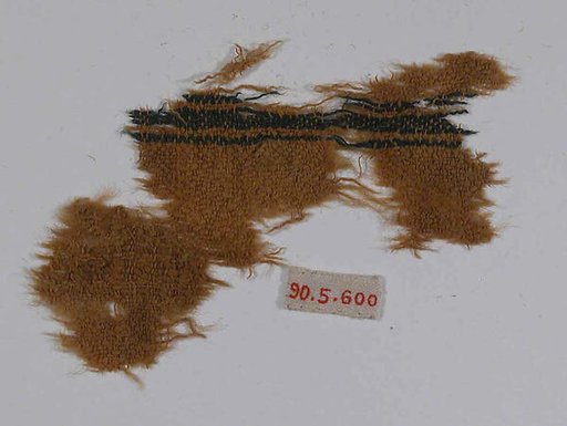 Textile Fragment