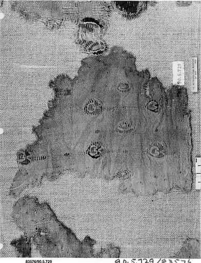 Textile Fragment