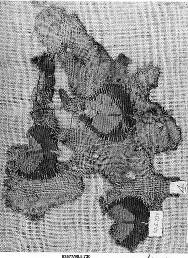 Textile Fragment