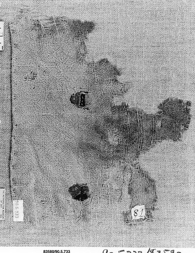 Textile Fragment