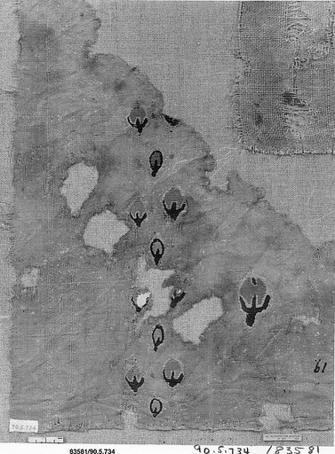 Textile Fragment