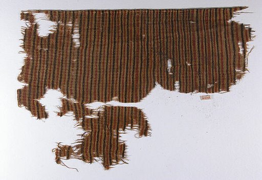 Textile Fragment