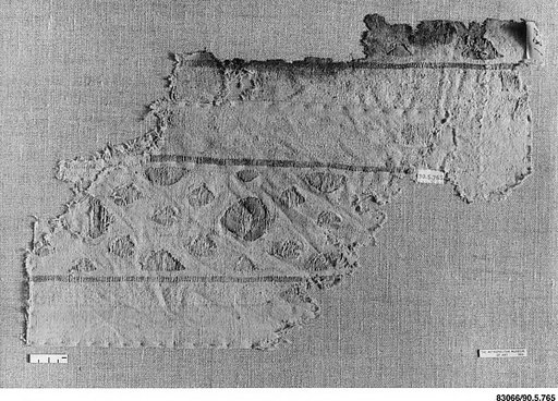 Textile Fragment