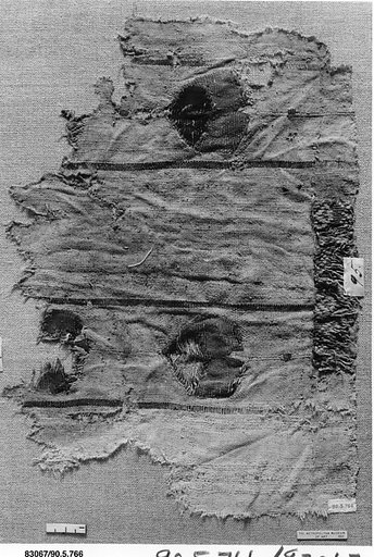 Textile Fragment