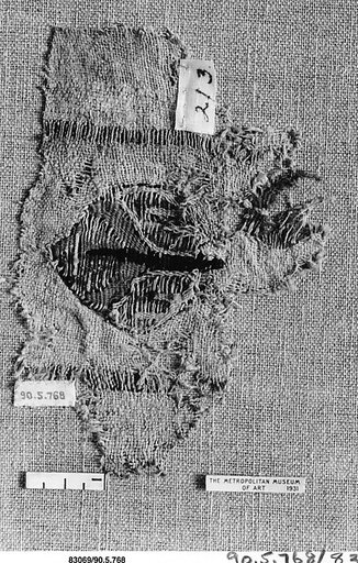 Textile Fragment