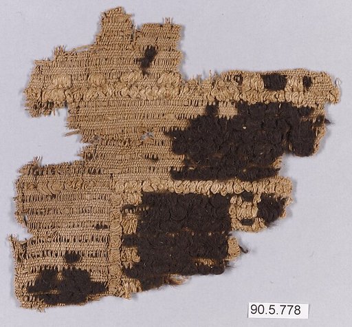 Textile Fragment