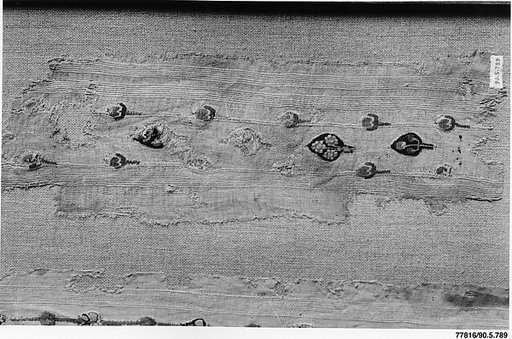 Textile Fragment