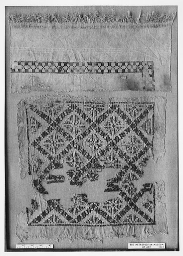 Tunic with Interlace Decoration