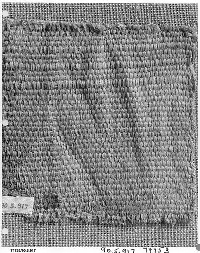 Textile Fragment