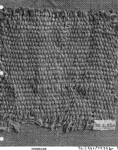 Textile Fragment