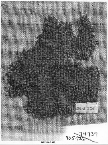 Textile Fragment