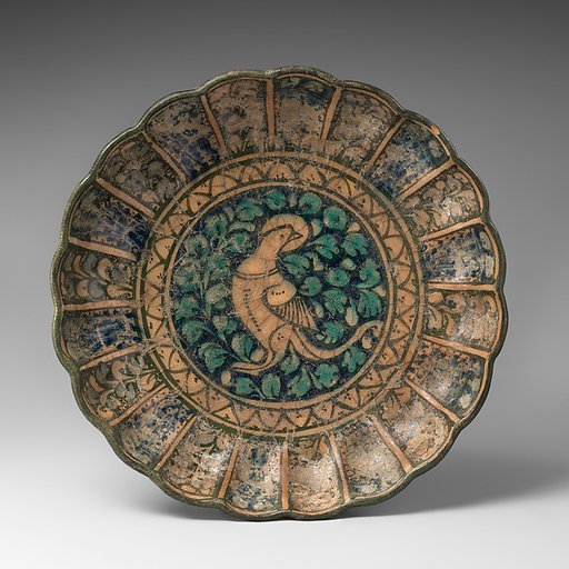 Dish