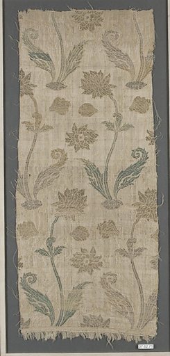 Textile Fragment