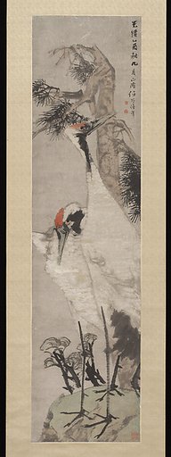 Cranes, Pine Tree, and Lichen