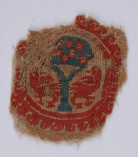 Textile Fragment