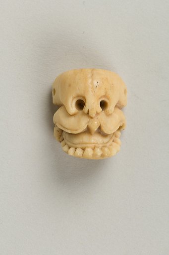 Skull
