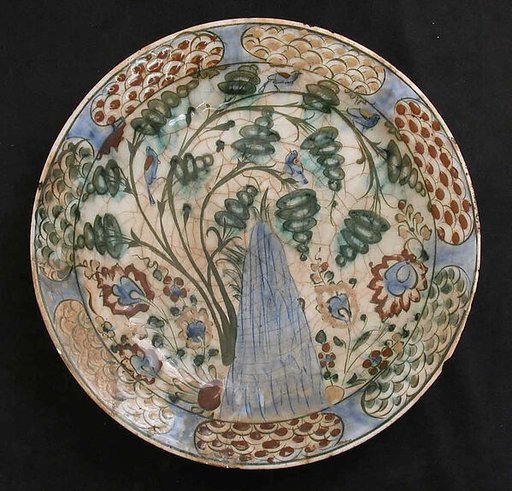 Dish