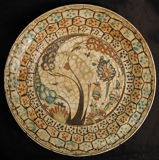 Dish