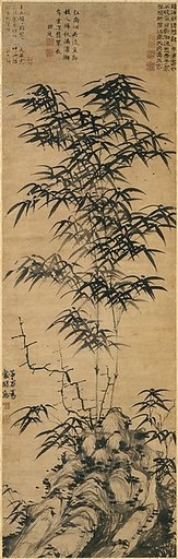 Bamboo and rock