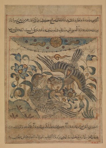"Pair of Eagles", Folio from a Manafi' al-hayawan (On the Usefulness of Animals) of Ibn Bakhtishu'