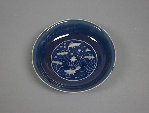 Dish